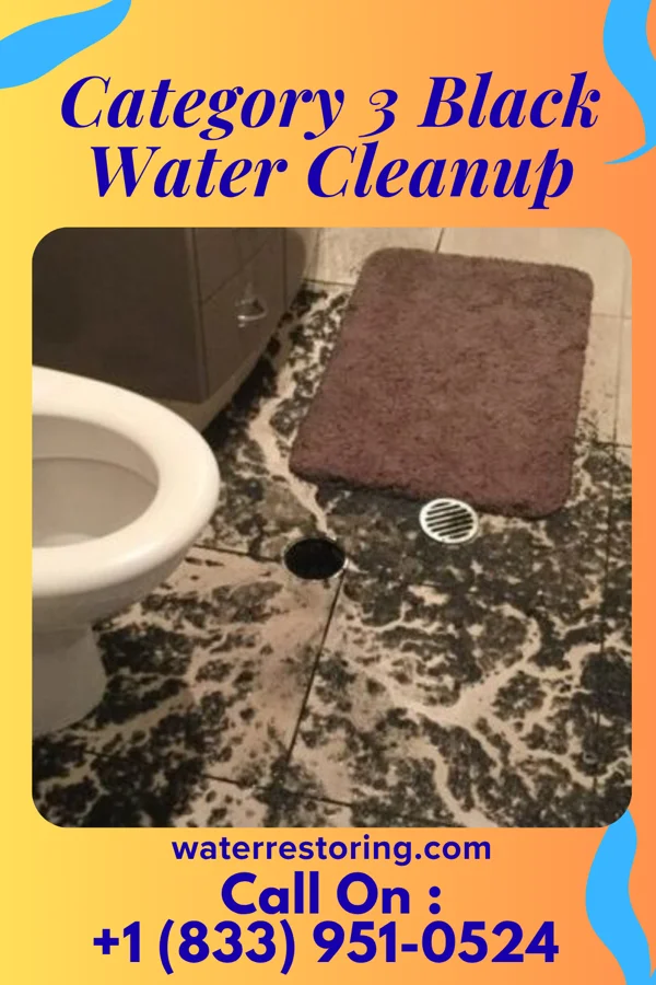 Category 3 Black Water Cleanup in Hunters Hollow, KY