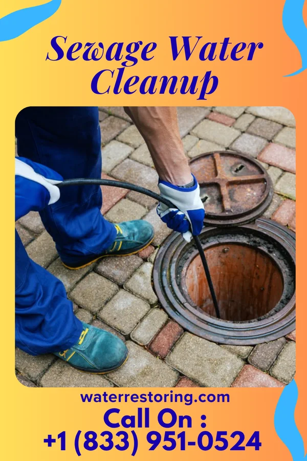 Sewage Water Cleanup in Hunters Hollow, KY